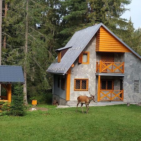 Chata Tatry Tatranská Štrba Exterior foto