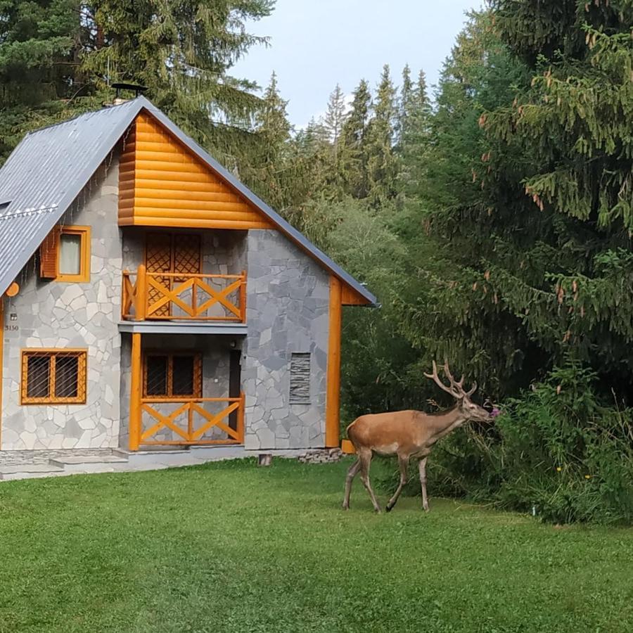 Chata Tatry Tatranská Štrba Exterior foto